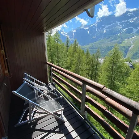 Delle Marmotte Cir N 0012 *